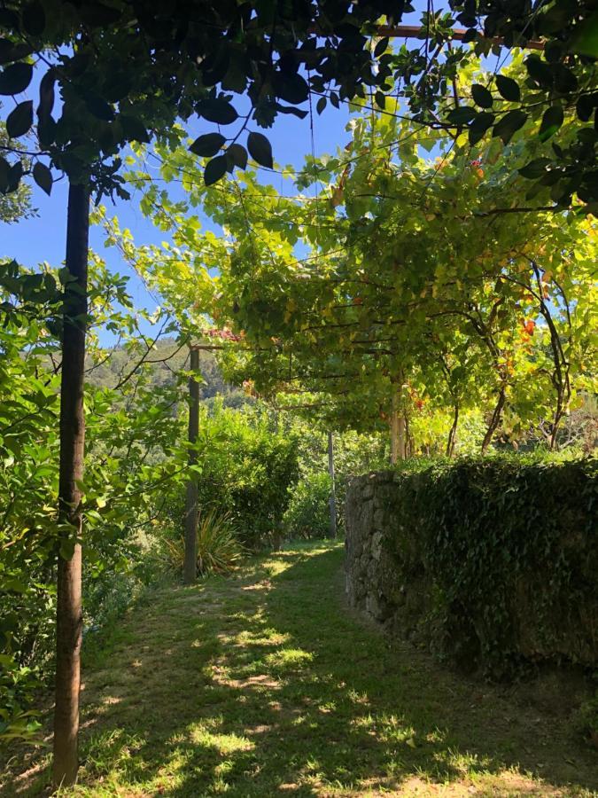 Sobreiro Valley - Casa Firmino 维埃拉·多米尼奥 外观 照片
